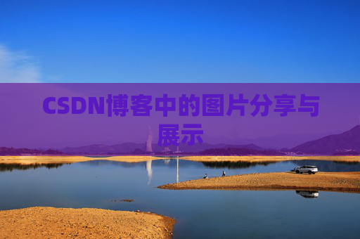 CSDN博客中的图片分享与展示